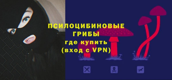 MDMA Карпинск