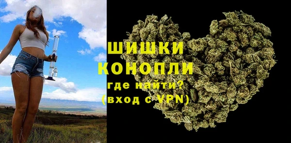 крисы Касимов