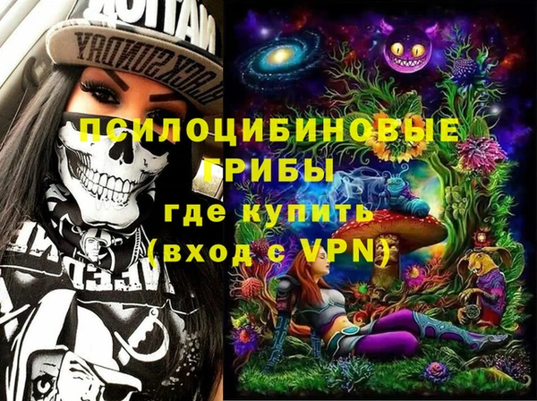 MDMA Карпинск