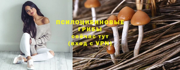 MDMA Карпинск