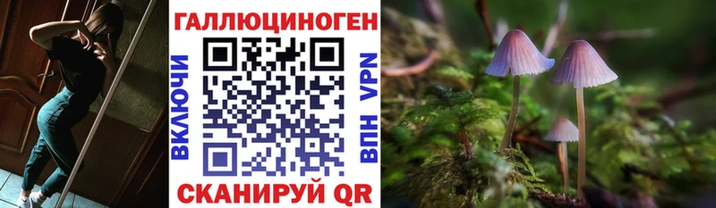 Галлюциногенные грибы Psilocybe  Купить  Мурино 