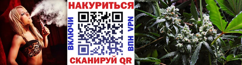 МАРИХУАНА планчик  Купить закладки  Мурино 